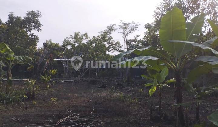 Rumah Siap Huni Dengan Luas 964m2 Type 4kt di Bandung Barat  6
