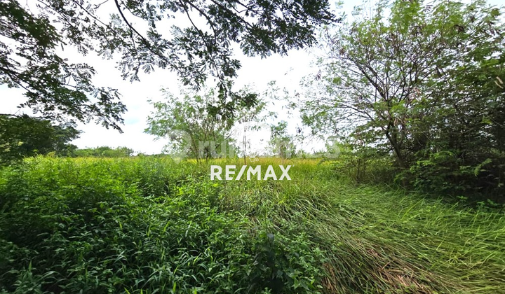 Kavling Dikawasan Industri Greenland Luas 11118M Delta Mas Cikarang