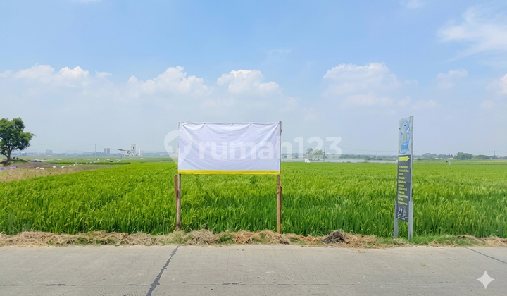 Ready-to-Build Land Area 21,788 m² (120m x 181.56m), Teluk Jambe, Karawang Ready-to-Build Land Area 21,788 m² (120m x 181.56m), Teluk Jambe, Karawang