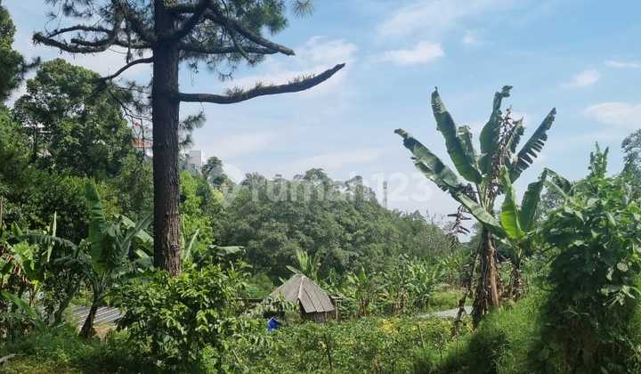Tanah di Lembang Bandung Barat Tanah di Lembang Bandung Barat