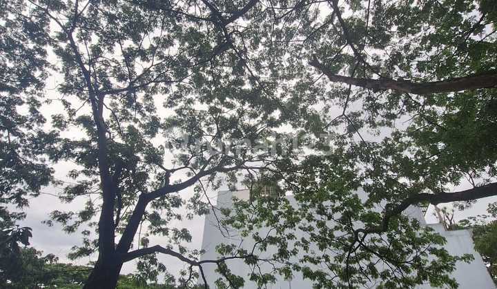 FRANS CEN-Dijual tanah di ******** ******** Lt.207m2