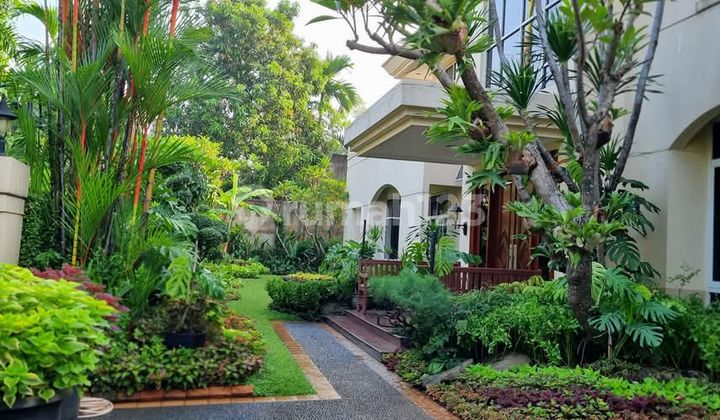 Rumah Mewah Lingkungan Asri Di Pasar Minggu Jakarta Selatan 2