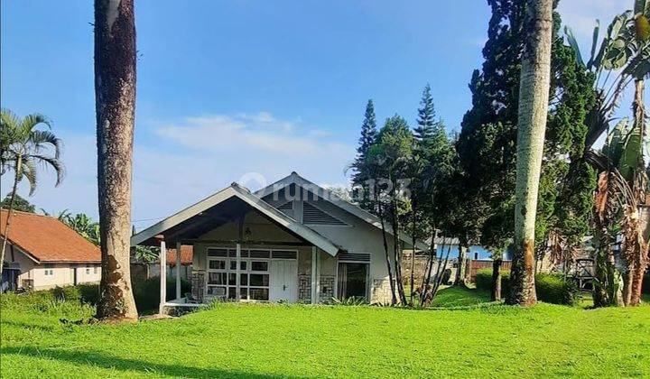 Jual Murah Villa Cantik Harga Dibawah Njop di Puncak bogor 2