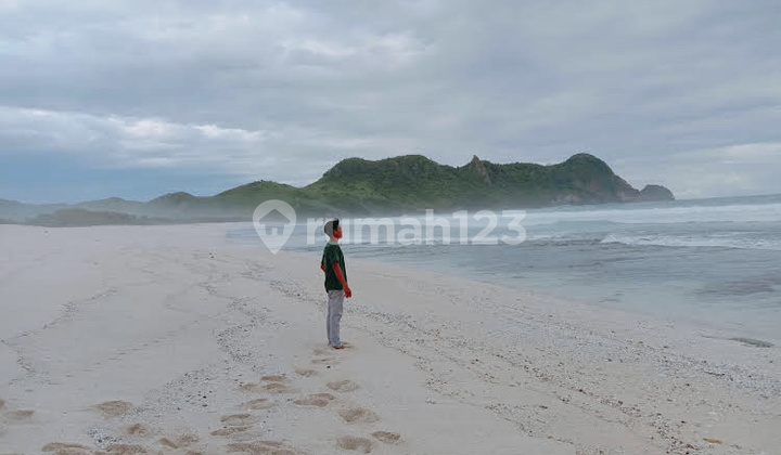 Jual Murah Kavling Tanah Beachfront Los Pantai Di Pantai Meang Lombok Jual Murah Kavling Tanah Beachfront Los Pantai Di Pantai Meang Lombok