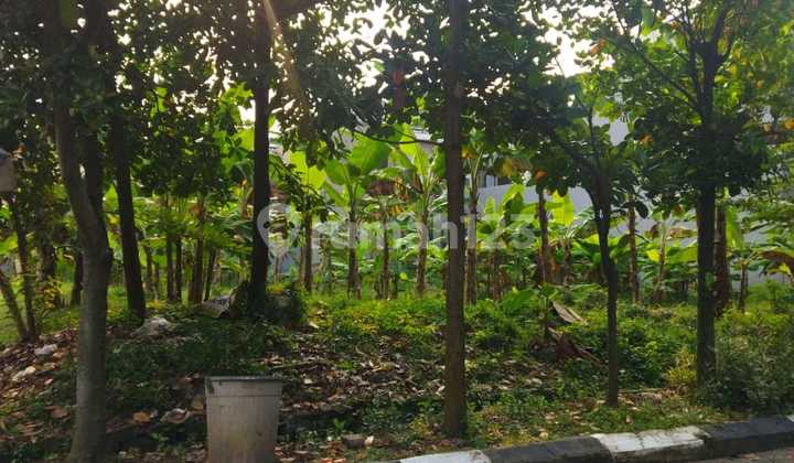 Kavling Hook Siap Bangun Baiti Jannati Islamic Village Tangerang