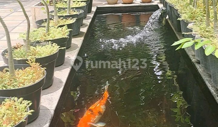 Cheapest House in Kemang 12.5 M Gets 544 M2 Near East Kemang Raya Cheapest House in Kemang 12.5 M Gets 544 M2 Near East Kemang Raya