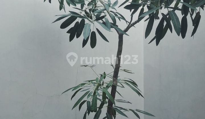 For Sale Modern Minimalist 2.5-Story House in Fleekhauz Cluster, BSD City 2