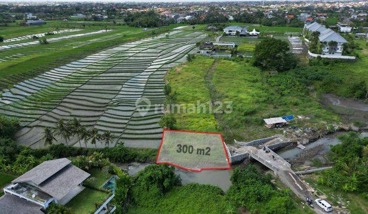 Badly Growing Area!! Riverside Land, View of the Beach and Rice Fields at Seseh Beach, Munggu at Seseh Beach, Munggu 2