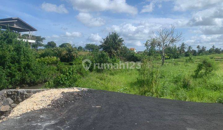 Area Berkembang Seseh !! Tanah Pinggir Sungai,View Pantai Dan Sawah Di Pantai Seseh, Munggu di Pantai seseh, Munggu 2