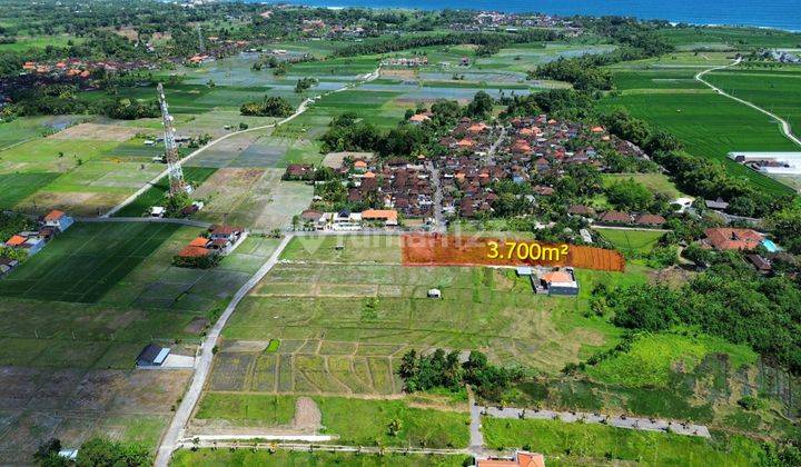 Dijual Tanah Dekat Pantai Kedungu Tabanan Dengan View Sawah Menawan  Di Antapan Luas Tanah : 3700 Squaremeter 1