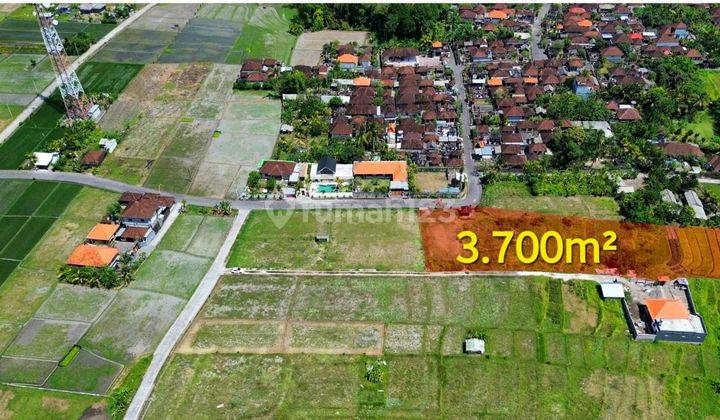 Dijual Tanah Dekat Pantai Kedungu Tabanan Dengan View Sawah Menawan  Di Antapan Luas Tanah : 3700 Squaremeter 2