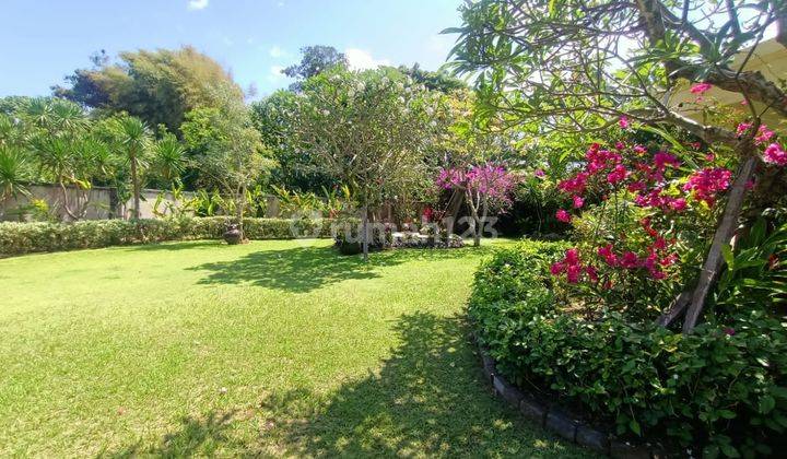 Luxury Villa In Padang Galak Sanur Spacious Lush Garden. Walking Distance To Padang Galak Beach Sanur  1