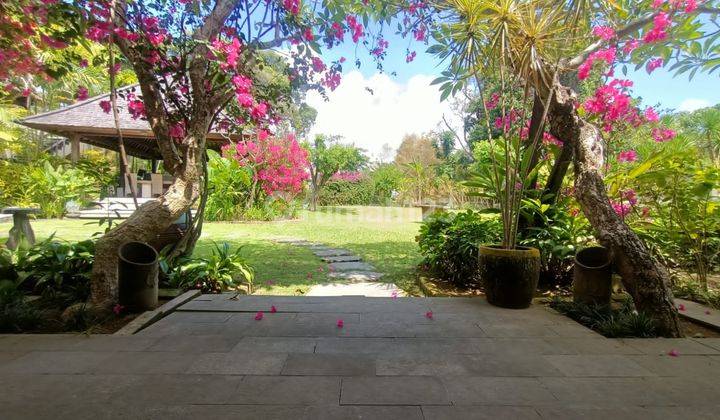 Luxury Villa In Padang Galak Sanur Spacious Lush Garden. Walking Distance To Padang Galak Beach Sanur  2