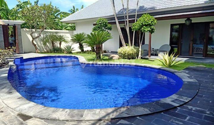 Canggu Berawa Modern Villa Dengan Taman Dan Kolam Renang SHM - Sertifikat Hak Milik 2