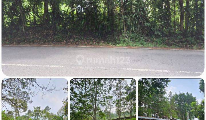 Dijual Tanah Luas Trawas Cocok Untuk Villa Camping Ground Ema 26 2