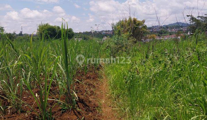 Dijual Cepat Tanah Luas Cocok Untuk Perumahan Tk 07 1