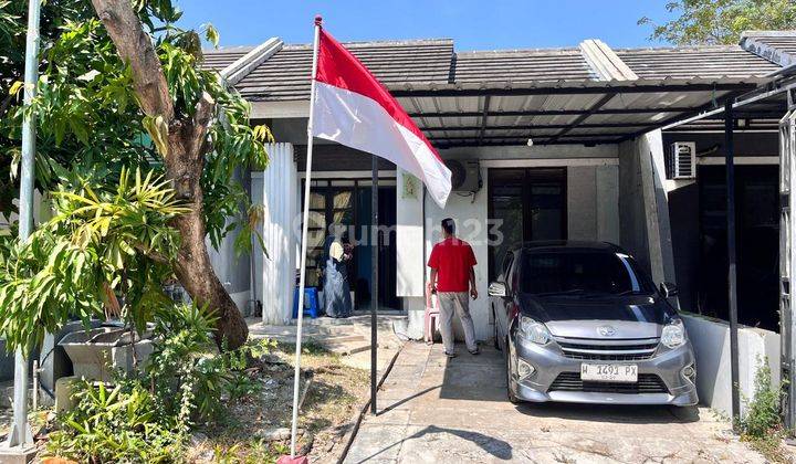 Dijual Rumah Bagus Palmville Benowo Kg 04 1