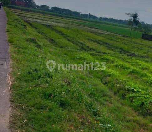 Dijual Tanah Luas Per Meter Mojokerto Ca 4.655 1