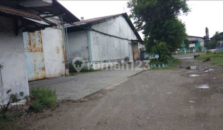 DIJUAL PABRIK NOL JALAN DI PASURUAN HARGA PER METER KUS 21 2