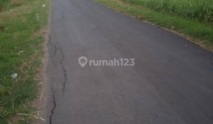 Dijual Tanah Sawah Per Meter Murah Mojokerto Rk 06 1