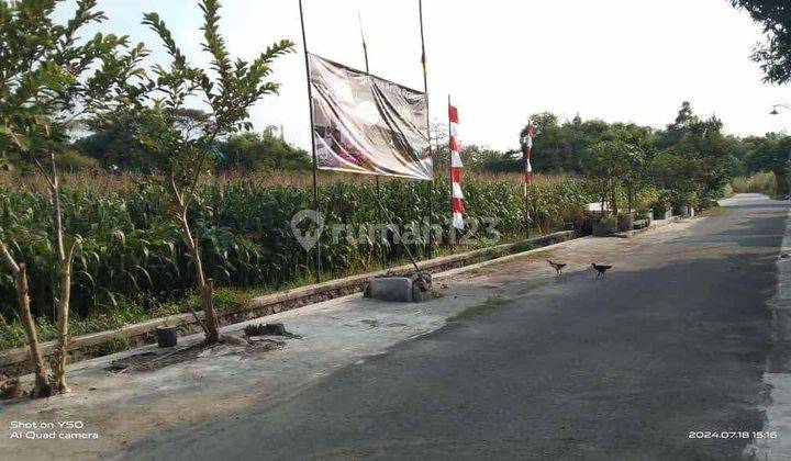 Dijual Tanah Luas Murah Di Mojokerto Bw 28 1