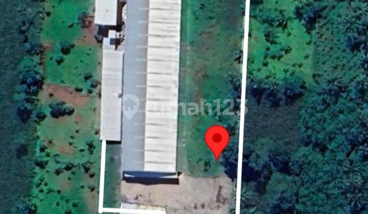 DIJUAL GUDANG BESERTA MESIN PRODUKSI PLYWOOOD LUMAJANG SIAP PAKAI BW 125 2