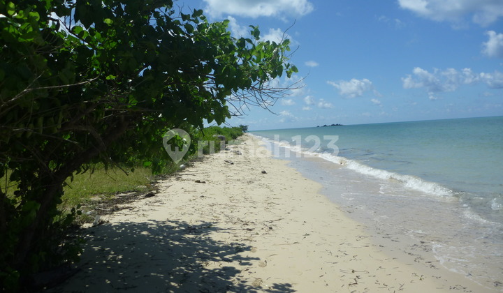 Land Freehold Beach Front In Sumba Land Freehold Beach Front In Sumba