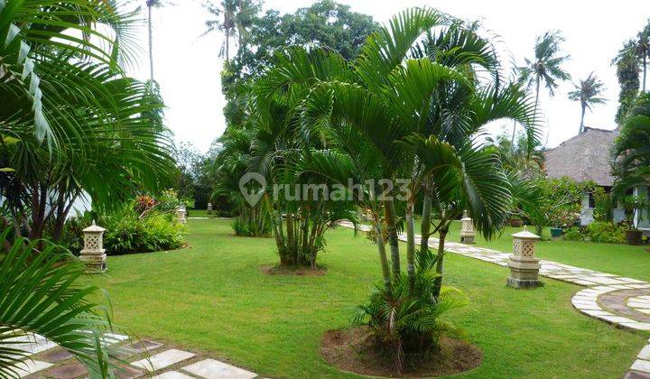 Villa Need Renovation 6633 Sqm In Heart of Seminyak 1