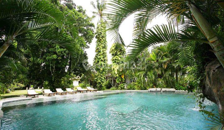 Villa Need Renovation 6633 Sqm In Heart of Seminyak 2