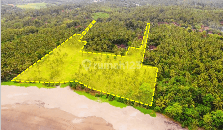 Land Freehold In Great Location Medewi Jembrana 2