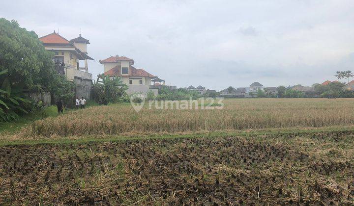 Land Freehold in Great Location Batu Belig 1