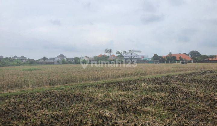 Land Freehold 1350 sqm Great Location Batu Belig 1