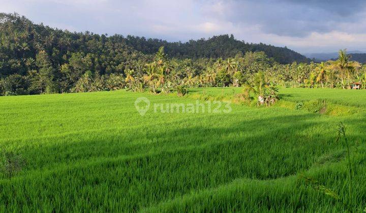 Land 12,000 sqm in Great Location Singaraja Raya Subuk 1