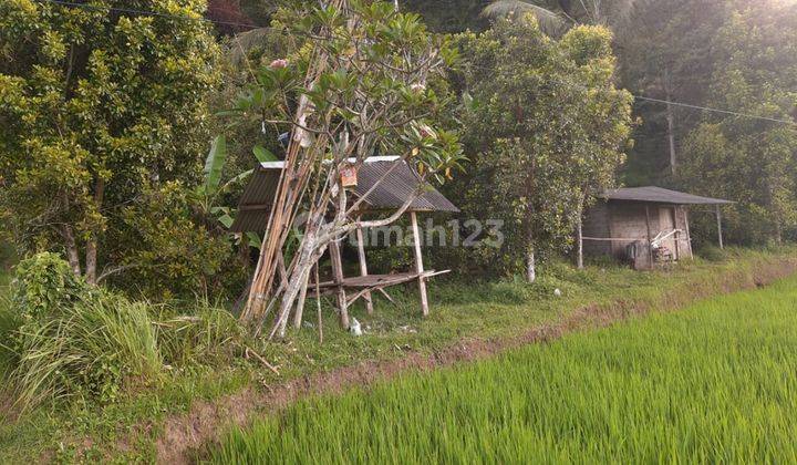 Land 12,000 sqm in Great Location Singaraja Raya Subuk 2