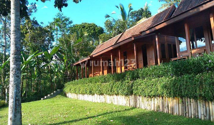 Hill View Wooden Houses  In Bali 1