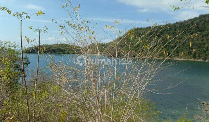 Stunning Land Freehold in Labuan Bajo 2