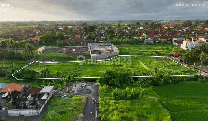 Prime Land Plot Next To Canggu 2