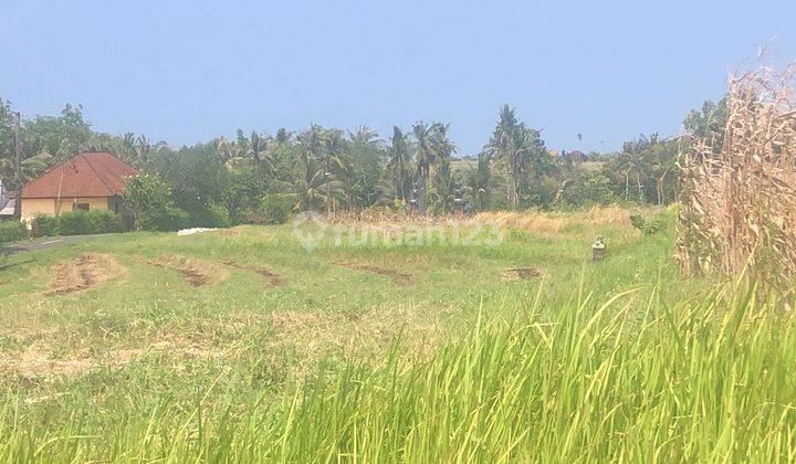 Land Freehold 2955 Sqm Close to the Beach In Tabanan Area 2