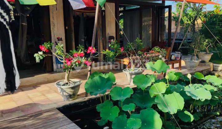 Villa Leasehold Pool And Gardens Near Canggu Beaches Bali