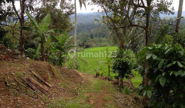 Sanda, Tabanan, Freehold land 1.92 Hectare ( 19200 Sqm ) A Spectacular Multifunctional Property Bali 2