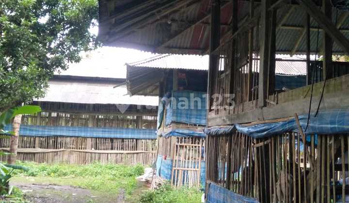 Land Freehold In Payangan Ubud Bali