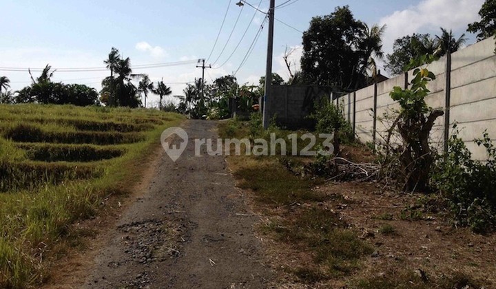 Land Freehold Beachside Near Nuanu And Luna Beach Club Nyanyi Bali Land Freehold Beachside Near Nuanu And Luna Beach Club Nyanyi Bali