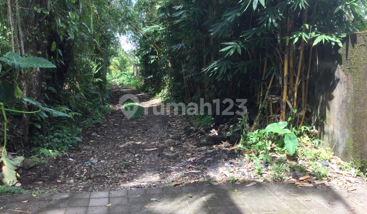 Land Freehold Nice View Payangan Ubud Bali