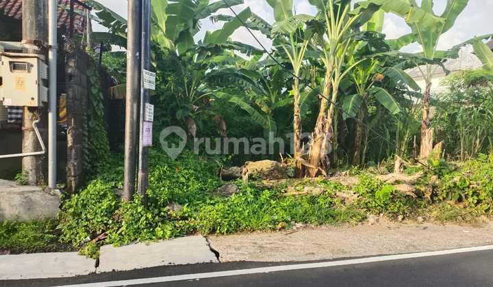 Tanah Sewa di Pusat Seminyak Bali Tanah Sewa di Pusat Seminyak Bali