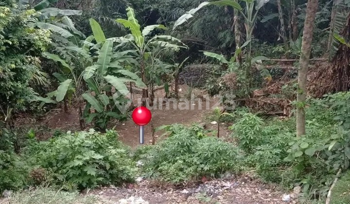 Land Freehold In Dalung Bali Land Freehold In Dalung Bali