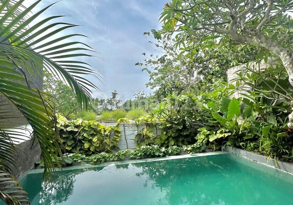 Villa 1 Bedroom Freehold In Uluwatu Bali