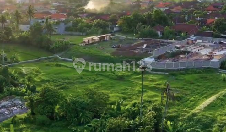 Prime Land Leasehold Plot Next To Buduk Canggu Bali