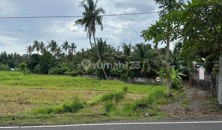 Land Freehold Richfield In Karang Asem Bali 1