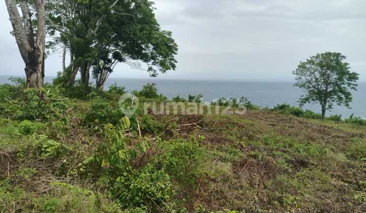 Land Cliff Front In Great Location Thomas Beach Bali