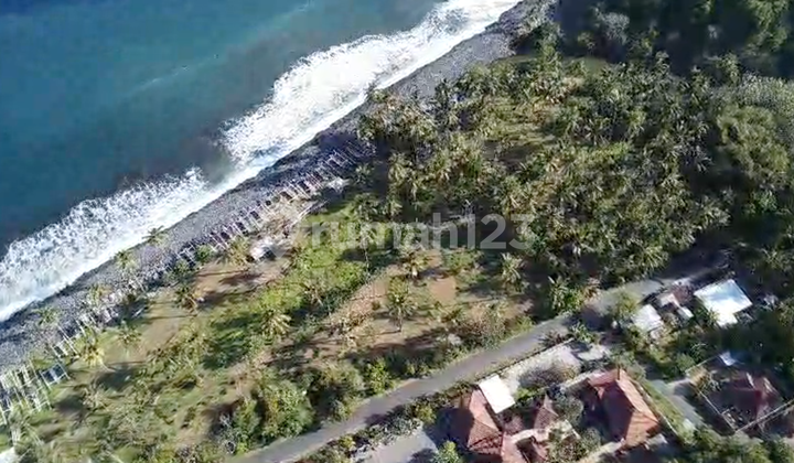 Land Freehold Beach front Seraya Karang Asem Bali Land Freehold Beach front Seraya Karang Asem Bali